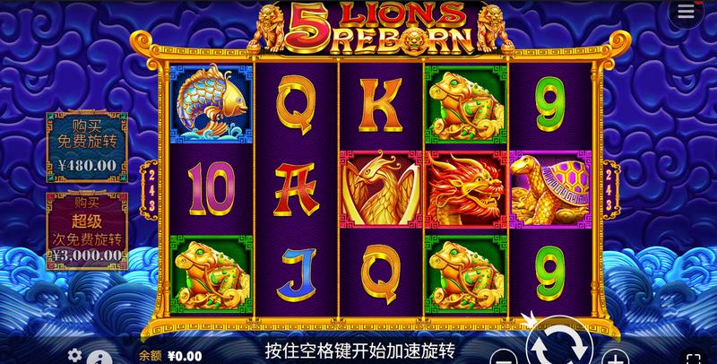 5金狮重生